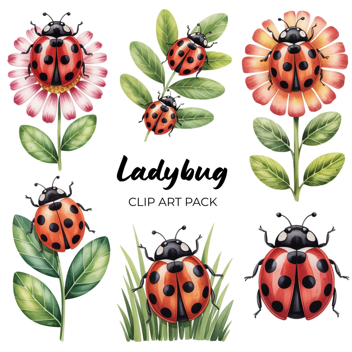 Ladybug Clipart Pack PLR
