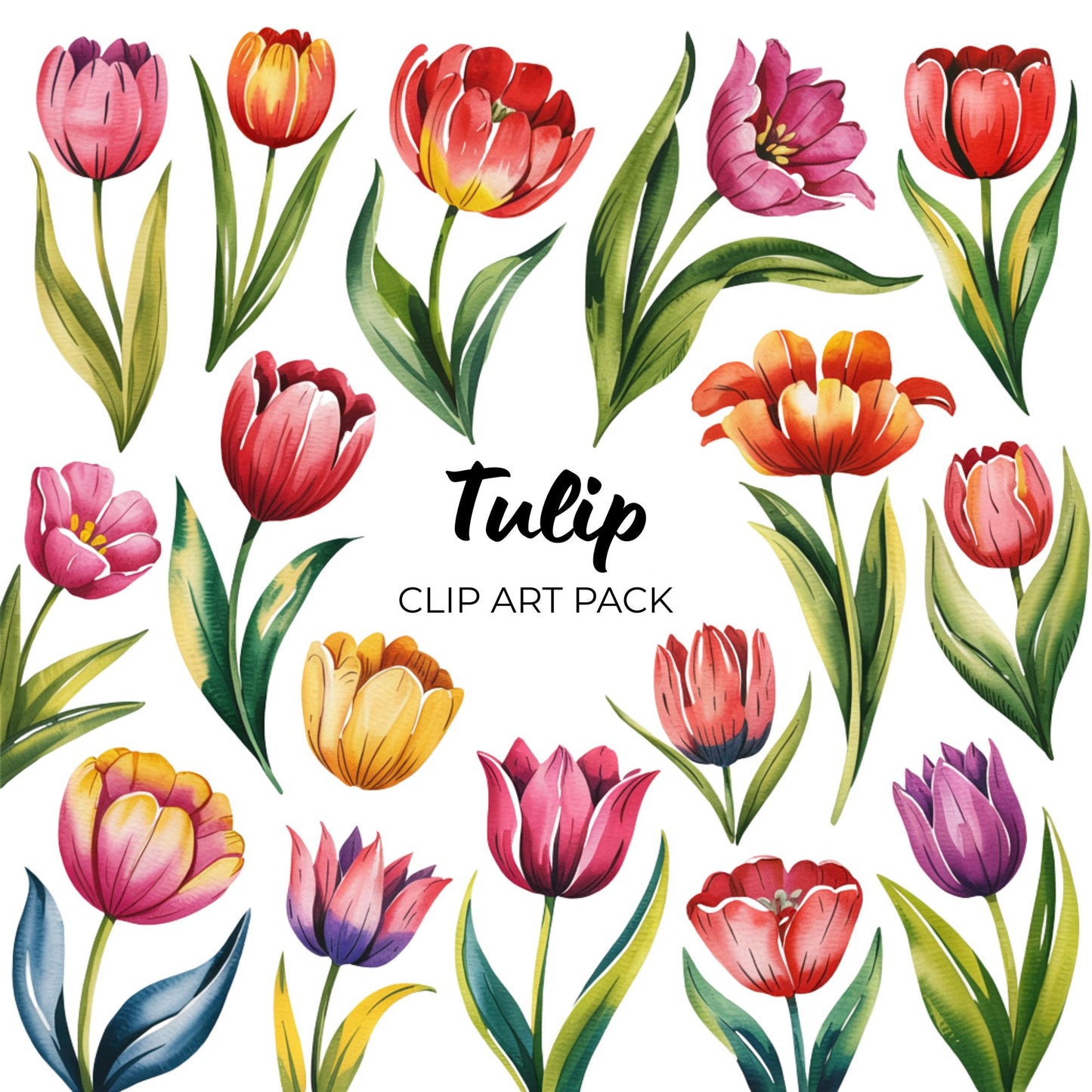 Tulip Clipart Pack PLR