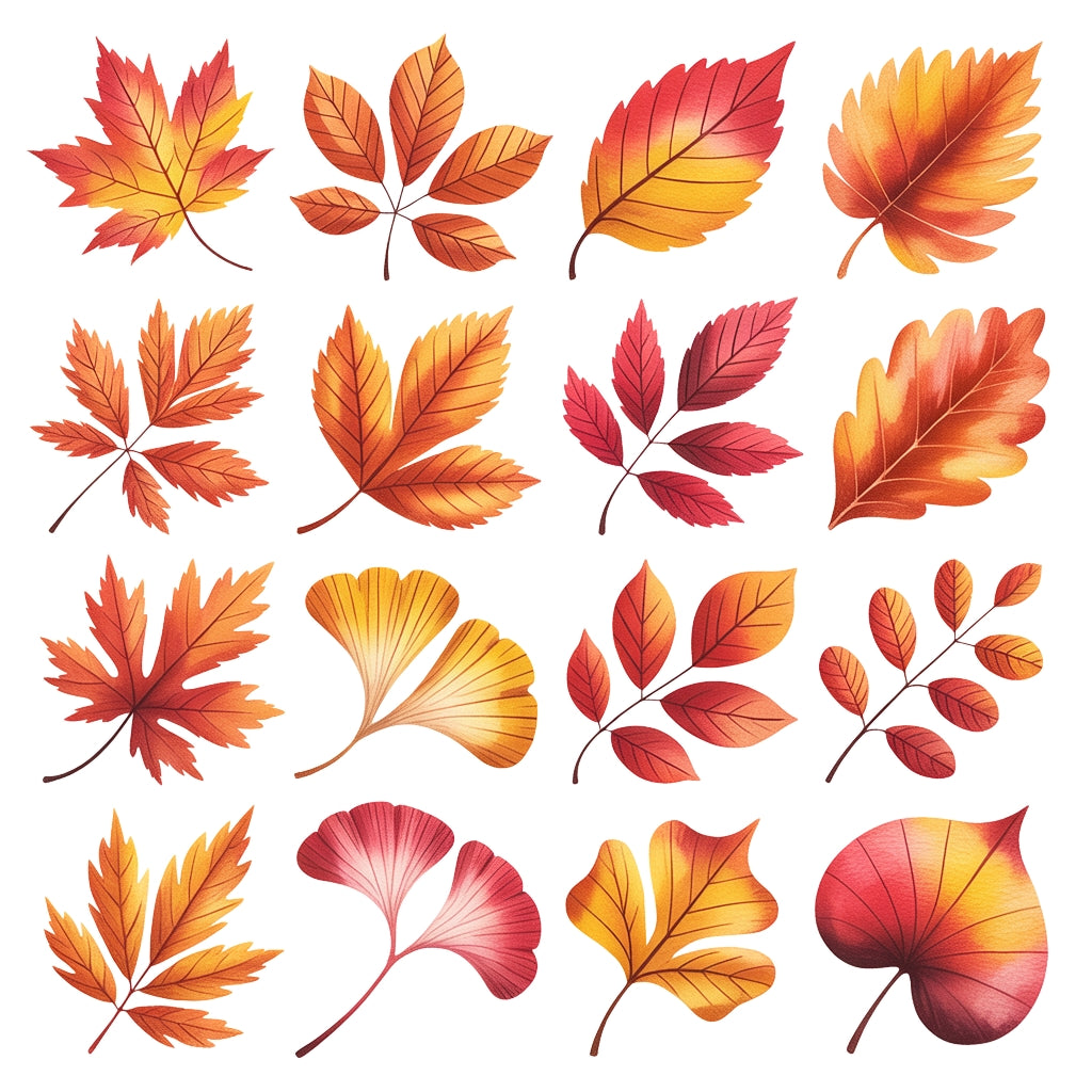Fall Leaves Clipart Pack PLR