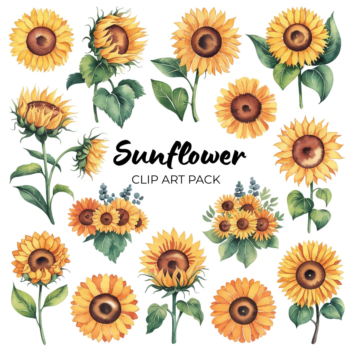 Sunflower Clipart Pack PLR
