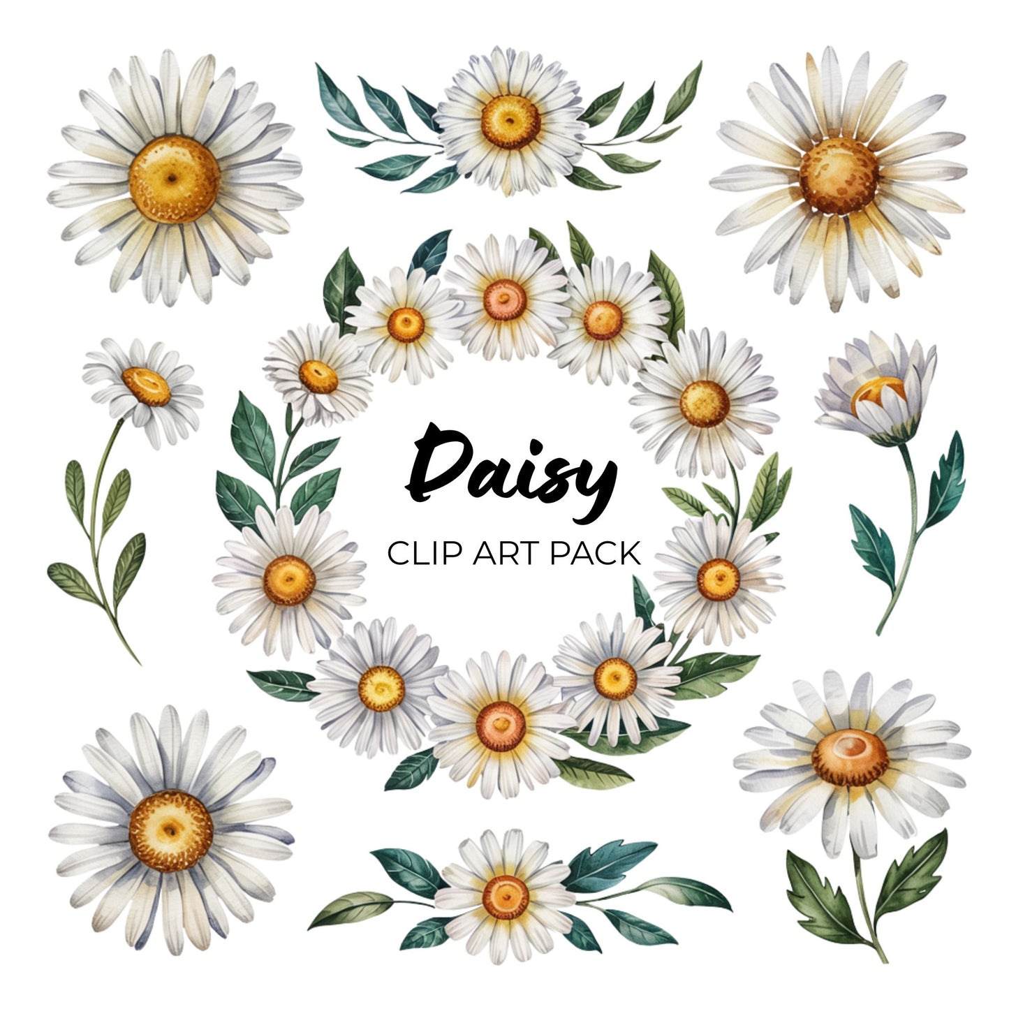Daisy Clipart Pack PLR