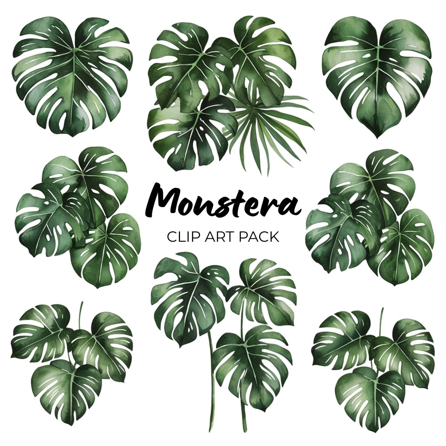 Monstera Clipart Pack PLR