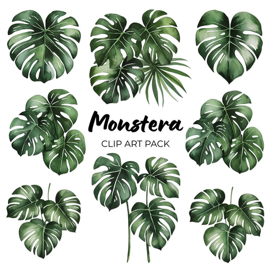 Monstera Clipart Pack PLR
