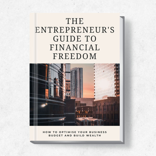 The Entrepreneur's Guide to Financial Freedom eBook with PLR