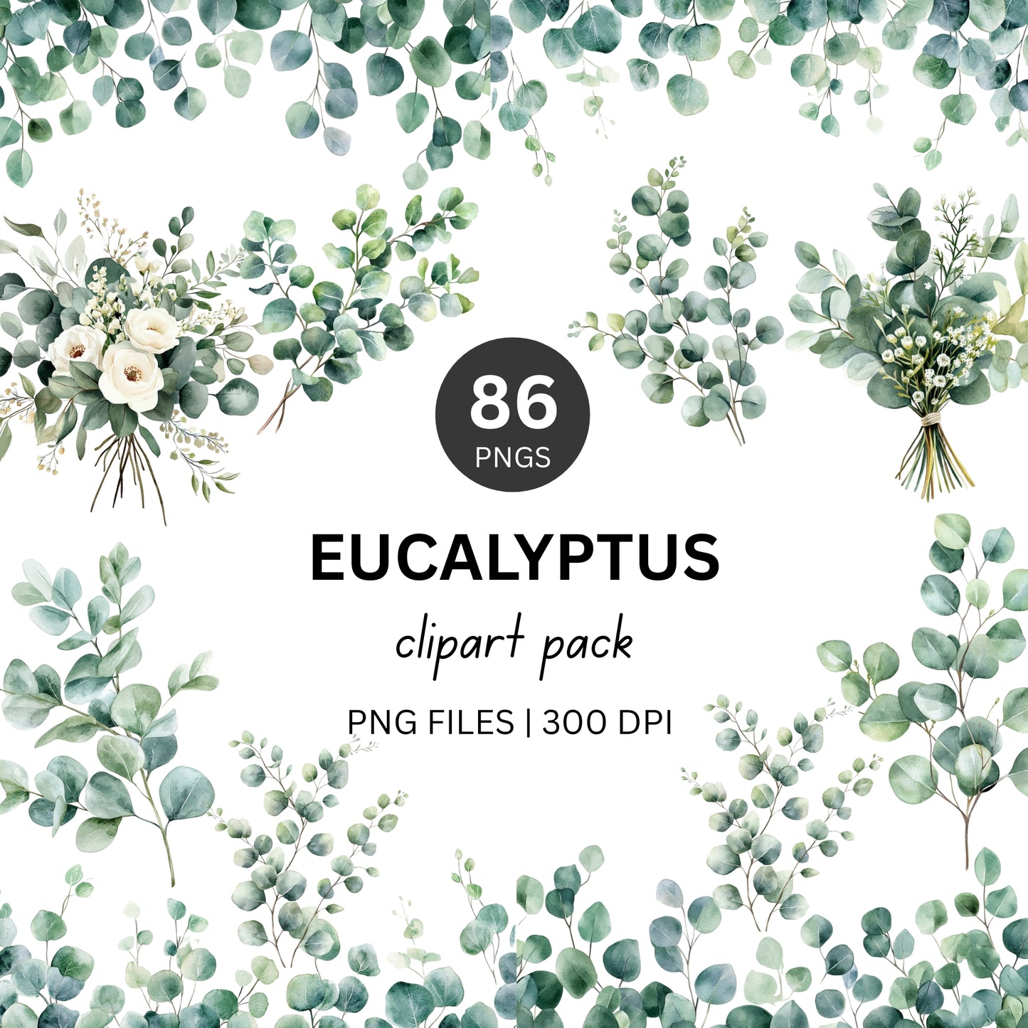 Eucalyptus Clipart Pack PLR