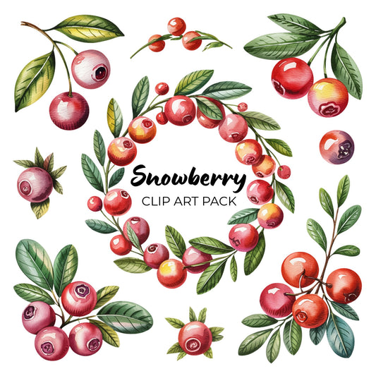 Snowberry Clipart Pack PLR