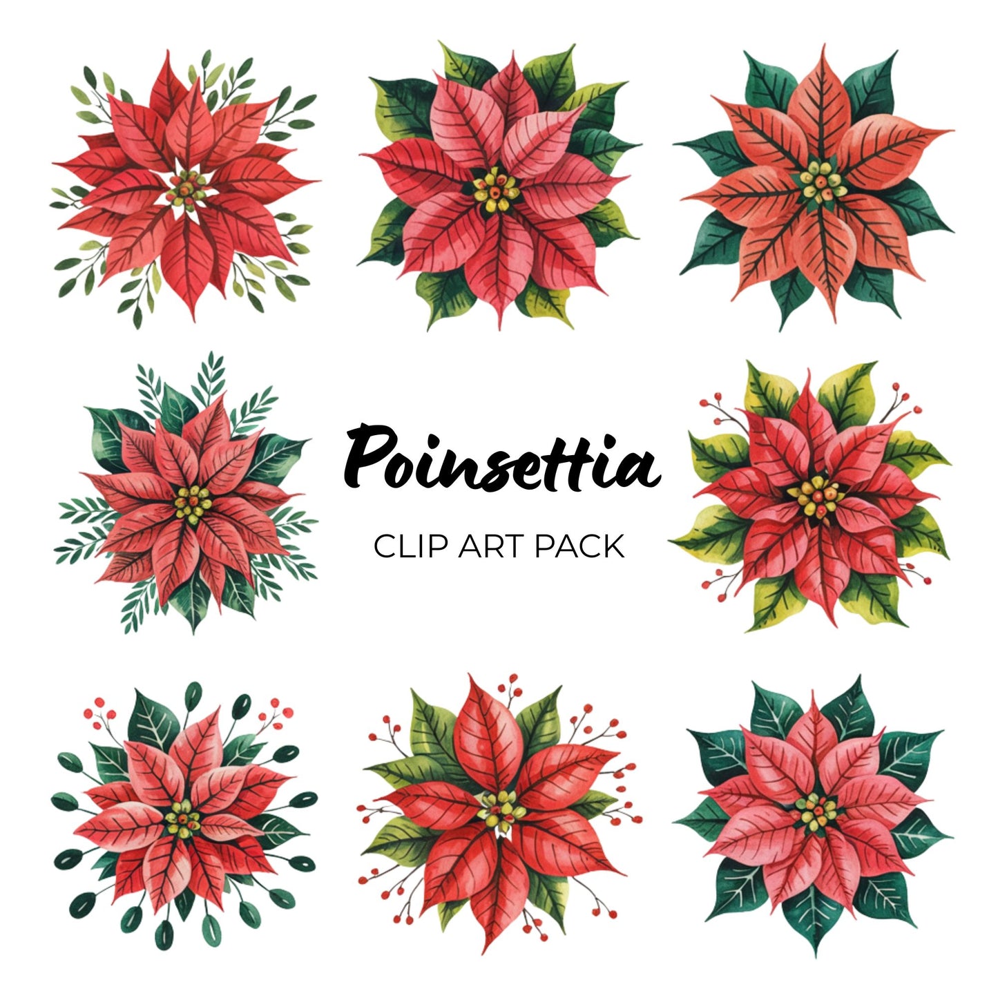 Poinsettia Clipart Pack PLR