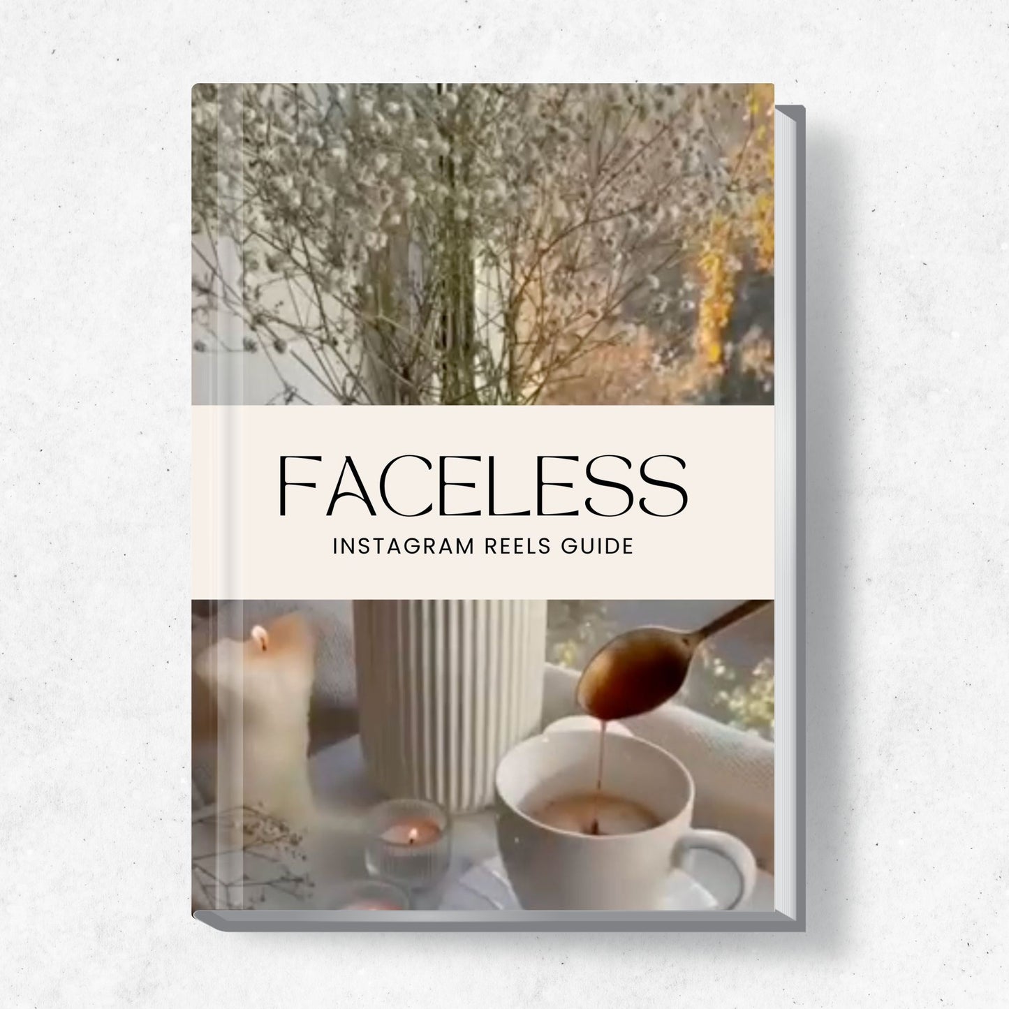 Faceless Instagram Reels Guide eBook with PLR