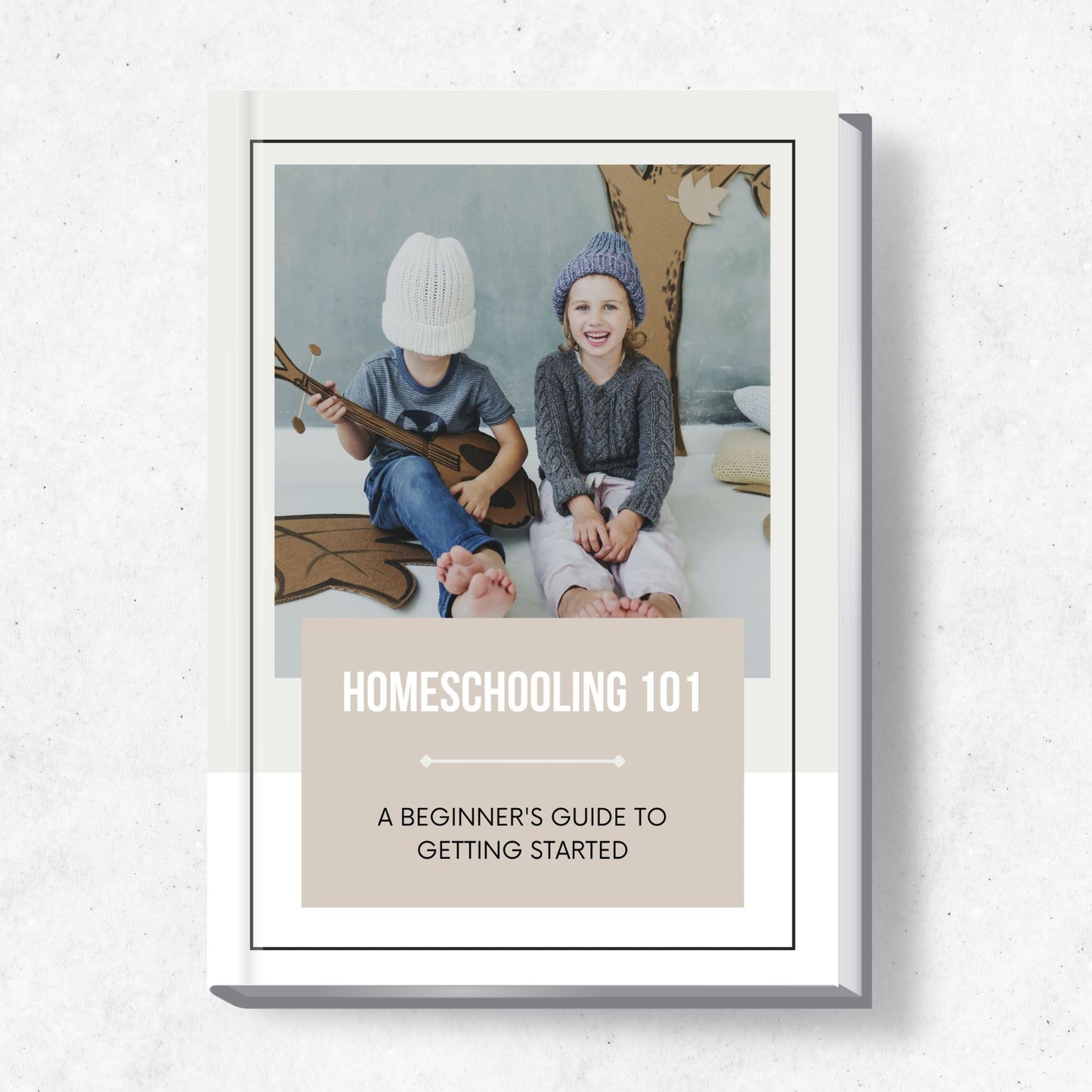 Homeschooling 101 eBook PLR