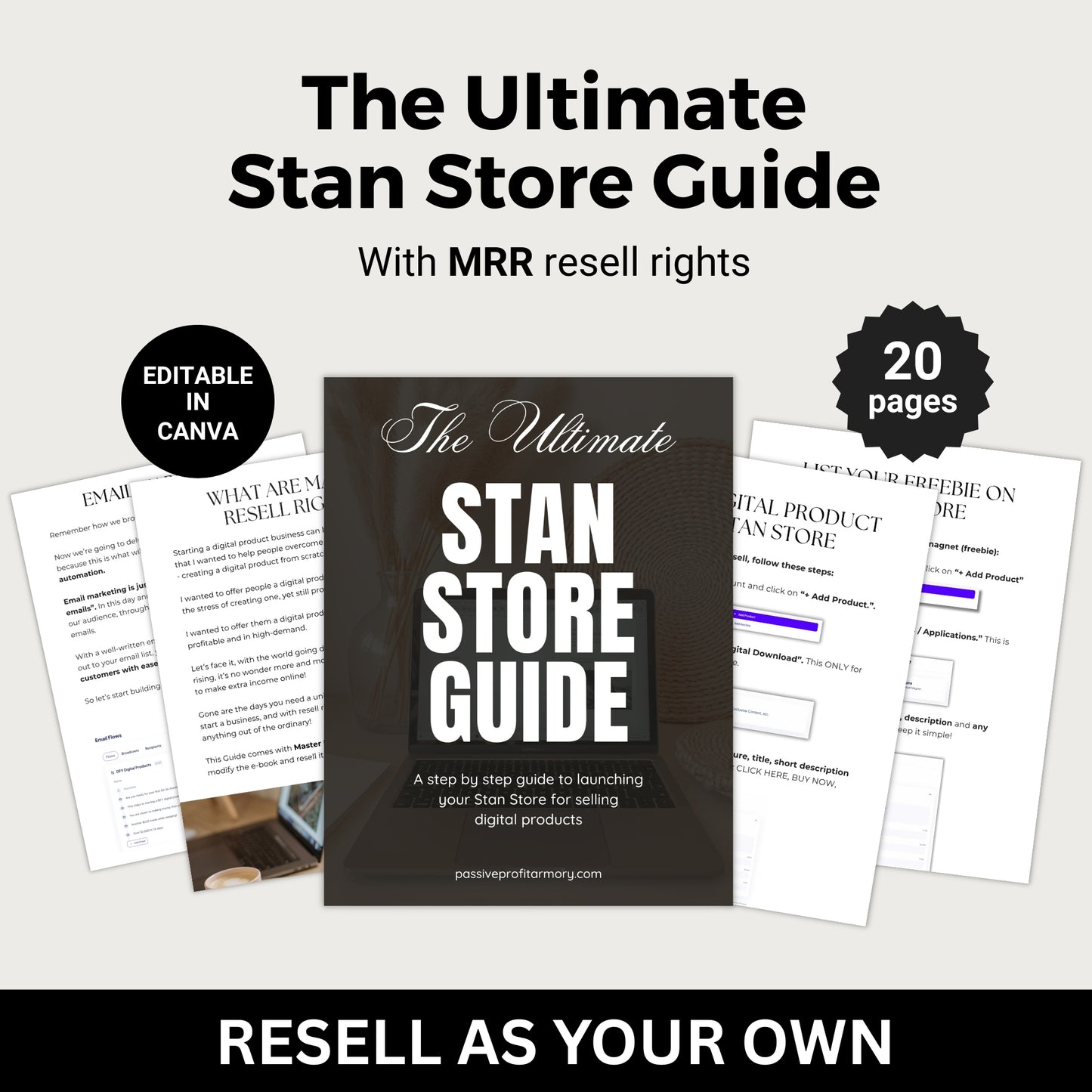 The Ultimate Stan Store Guide with MRR Resell Rights